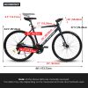 A28320 700C Aluminum Frame Shock Absorbing Front Fork Unisex road bike